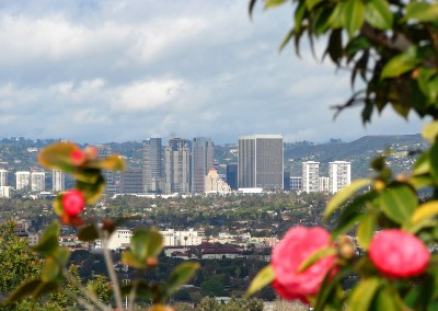 Skyline view from Marycrest Grounds